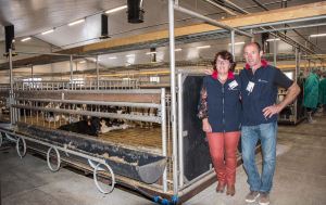Mireille et Christian Fromont dans la salle de 400 places de veaux inaugurée l’année dernière.