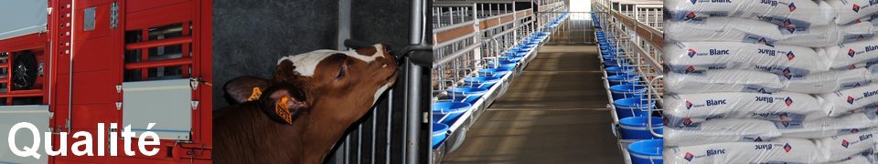 Qualité en élevage