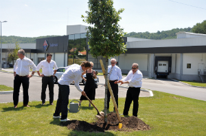 30 ans de SOBEVAL plante un arbre nouvelle usine