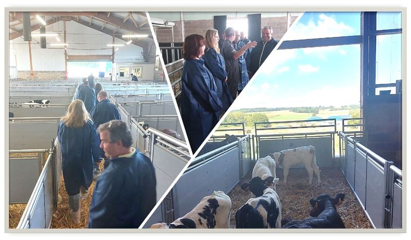 Rejoignez la filière d'élevage de veaux VANDRIE France ! Le réseau d'éleveurs le plus étendu en France.